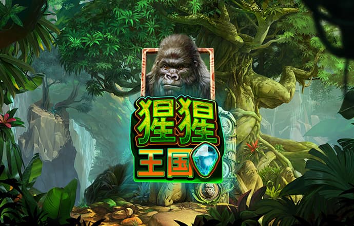 钱多多永久免费资料